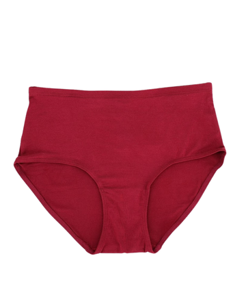 SHE Modal Briefs with Elastic Waist 3 Pack