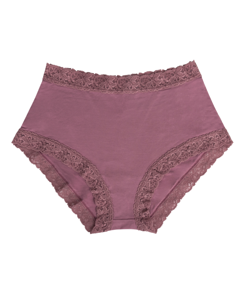 She Modal Lace Briefs